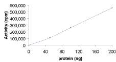 Functional Studies - Recombinant human NEK7 protein (AB60703), expandable thumbnail