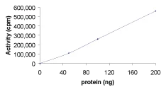 Functional Studies - Recombinant human NEK7 protein (AB60703)