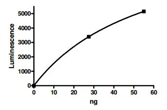 Functional Studies - Recombinant human NEK7 protein (GST tag N-Terminus) (AB196067)