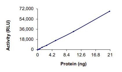 Functional Studies - Recombinant human NEK7 protein (AB60703)