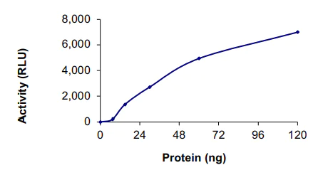 Functional Studies - Recombinant human NEK8 protein (AB204141)