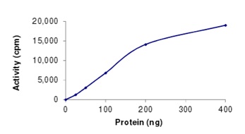 Functional Studies - Recombinant human NEK8 protein (AB204141)