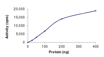 Functional Studies - Recombinant human NEK8 protein (AB204141)