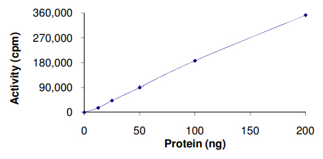 Recombinant human NEK9 protein