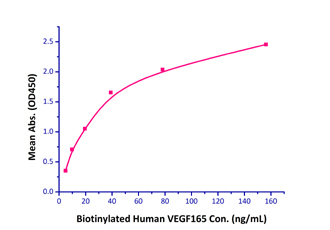 Functional Studies - Recombinant human Neuropilin 1 protein (Fc Chimera Active) (AB221023)