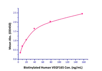 Functional Studies - Recombinant human Neuropilin 1 protein (Fc Chimera Active) (AB221023)