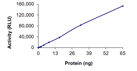 Functional Studies - Recombinant human NFkB Inducing Kinase NIK protein (AB105210)