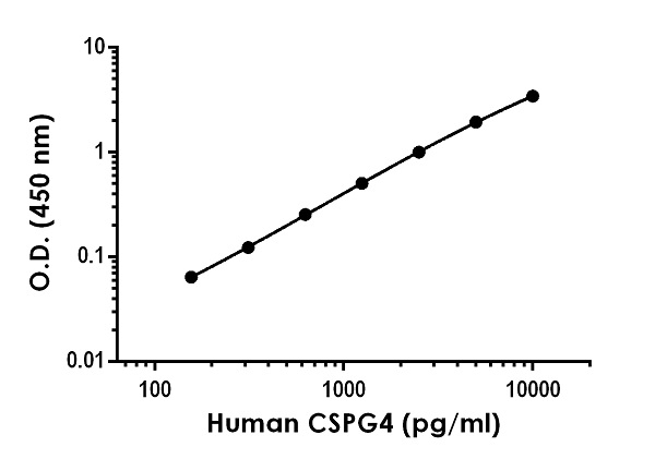 Sandwich ELISA - Recombinant Human NG2 Protein Standard (His tag) (AB323024), expandable thumbnail