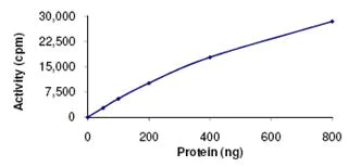 Functional Studies - Recombinant human NLK protein (AB107700)