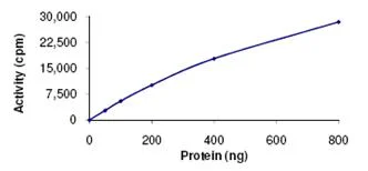 Functional Studies - Recombinant human NLK protein (GST tag N-Terminus) (AB107700)