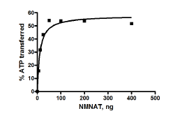Functional Studies - Recombinant human Nmnat1/NMNAT protein (His tag N-Terminus) (AB198473)