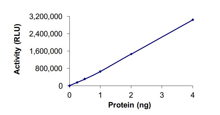 Functional Studies - Recombinant human NNMT protein (Active) (AB268816), expandable thumbnail