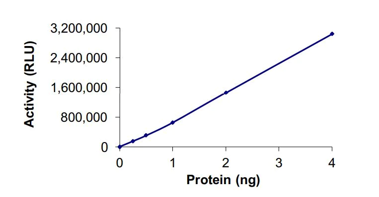 Functional Studies - Recombinant human NNMT protein (Active) (AB268816)