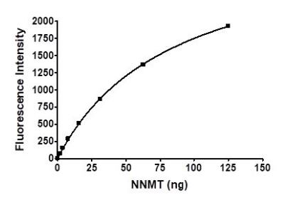Functional Studies - Recombinant human NNMT protein (Active) (His tag C-Terminus) (AB271638)