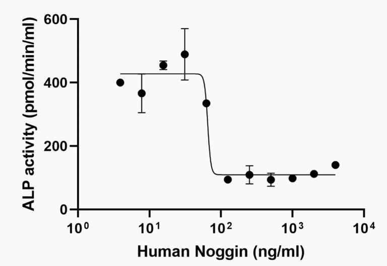 Functional Studies - Recombinant human Noggin protein (Active) (AB281817)