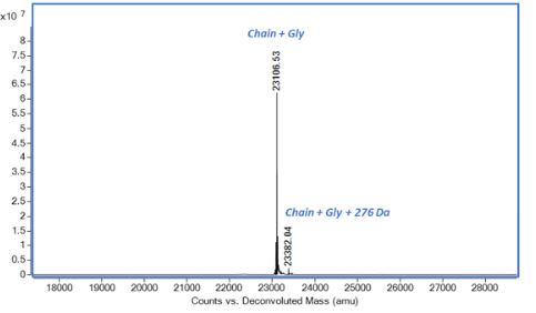 Mass Spectrometry - Recombinant human Noggin protein (Active) (AB281817), expandable thumbnail