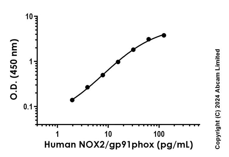 Sandwich ELISA - Recombinant Human NOX2/gp91phox Protein Standard (His tag) (AB323087)