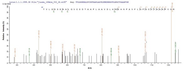 Mass Spectrometry - Recombinant Human NPR-A protein (Tagged) (AB235810)
