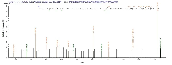 Mass Spectrometry - Recombinant Human NPR-A protein (Tagged) (AB235810)