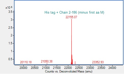 Mass Spectrometry - Recombinant Human NRAS (mutated G12D) Protein (His tag) (AB318947), expandable thumbnail