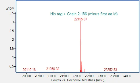 Mass Spectrometry - Recombinant Human NRAS (mutated G12D) Protein (His tag) (AB318947)