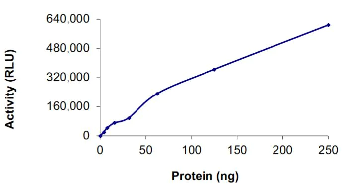 Functional Studies - Recombinant human NRAS protein (Active) (AB268821)