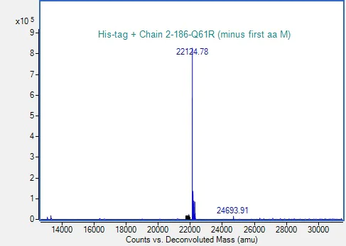 Mass Spectrometry - Recombinant Human NRAS(mutated Q61R) Protein (His tag) (AB318945)