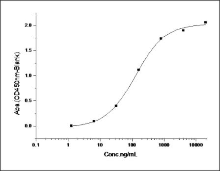 Functional Studies - Recombinant human NRP2 protein (Fc Chimera) (AB276305), expandable thumbnail