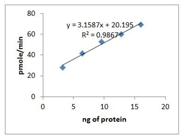 Functional Studies - Recombinant human Ornithine Decarboxylase/ODC protein (Active) (AB286069)