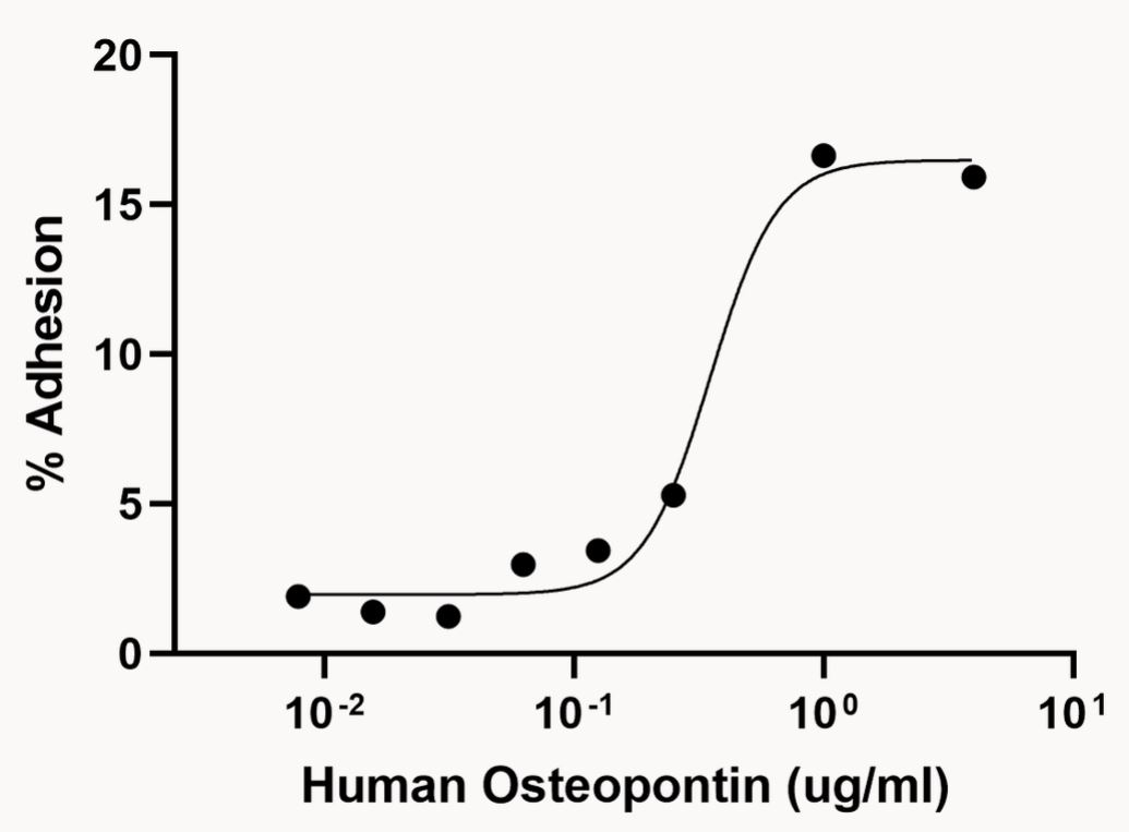 Functional Studies - Recombinant Human Osteopontin protein (Active) (AB281819), expandable thumbnail