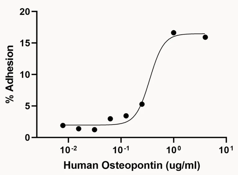 Functional Studies - Recombinant Human Osteopontin protein (Active) (AB281819)