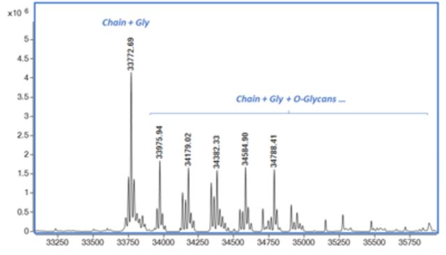 Mass Spectrometry - Recombinant Human Osteopontin protein (Active) (AB281819), expandable thumbnail