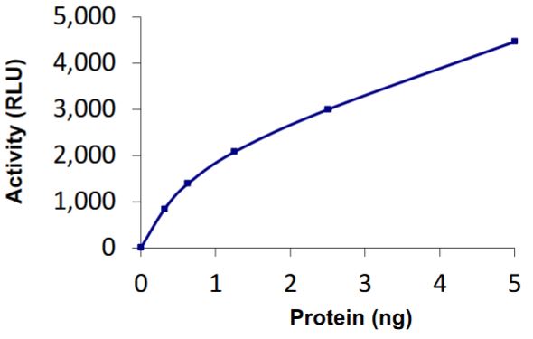 Recombinant human OTUB2 protein (Active)