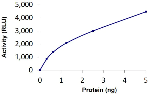 Functional Studies - Recombinant human OTUB2 protein (Active) (AB268827)