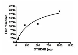 Functional Studies - Recombinant human OTUD6B protein (His-DDDDK tag N-Terminus) (AB198664)