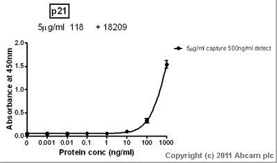 Sandwich ELISA - Recombinant Human p21 protein (AB56278)