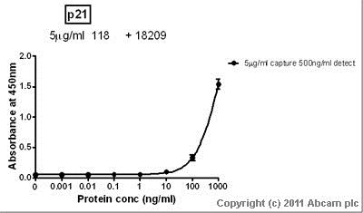 Sandwich ELISA - Recombinant Human p21 protein (GST tag N-Terminus) (AB56278)