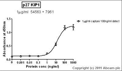 Sandwich ELISA - Recombinant Human p27 KIP 1 protein (Tagged) (AB56279), expandable thumbnail