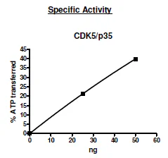 Functional Studies - Recombinant human p35 + CDK5 protein (GST tag N-Terminus) (AB271460)