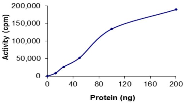 Recombinant human p38 alpha/MAPK14 protein (Active)