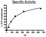 Functional Studies - Recombinant human p38 alpha/MAPK14 protein (Active) (AB271606)