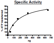 Functional Studies - Recombinant human p38 alpha/MAPK14 protein (Active) (His tag N-Terminus) (AB271606)