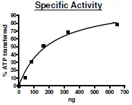 Functional Studies - Recombinant human p38 alpha/MAPK14 protein (Active) (His tag N-Terminus) (AB271606)