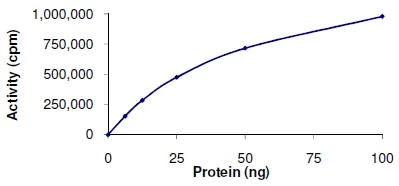 Functional Studies - Recombinant human p38 beta/MAPK11 protein (AB125663)