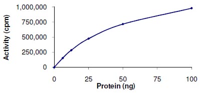 Functional Studies - Recombinant human p38 beta/MAPK11 protein (GST tag N-Terminus) (AB125663)