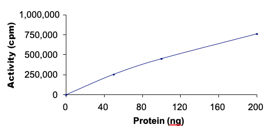 Functional Studies - Recombinant human p38 delta/MAPK13 protein (AB125643), expandable thumbnail
