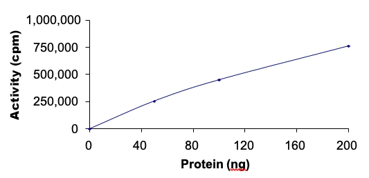 Functional Studies - Recombinant human p38 delta/MAPK13 protein (AB125643)