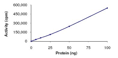 Functional Studies - Recombinant human p38 gamma/MAPK12 protein (AB125651), expandable thumbnail