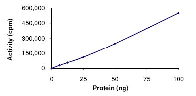 Functional Studies - Recombinant human p38 gamma/MAPK12 protein (AB125651)