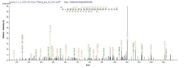 Mass Spectrometry - Recombinant Human p53 protein (AB237007)